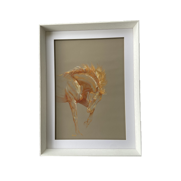 "Rio" in its white frame