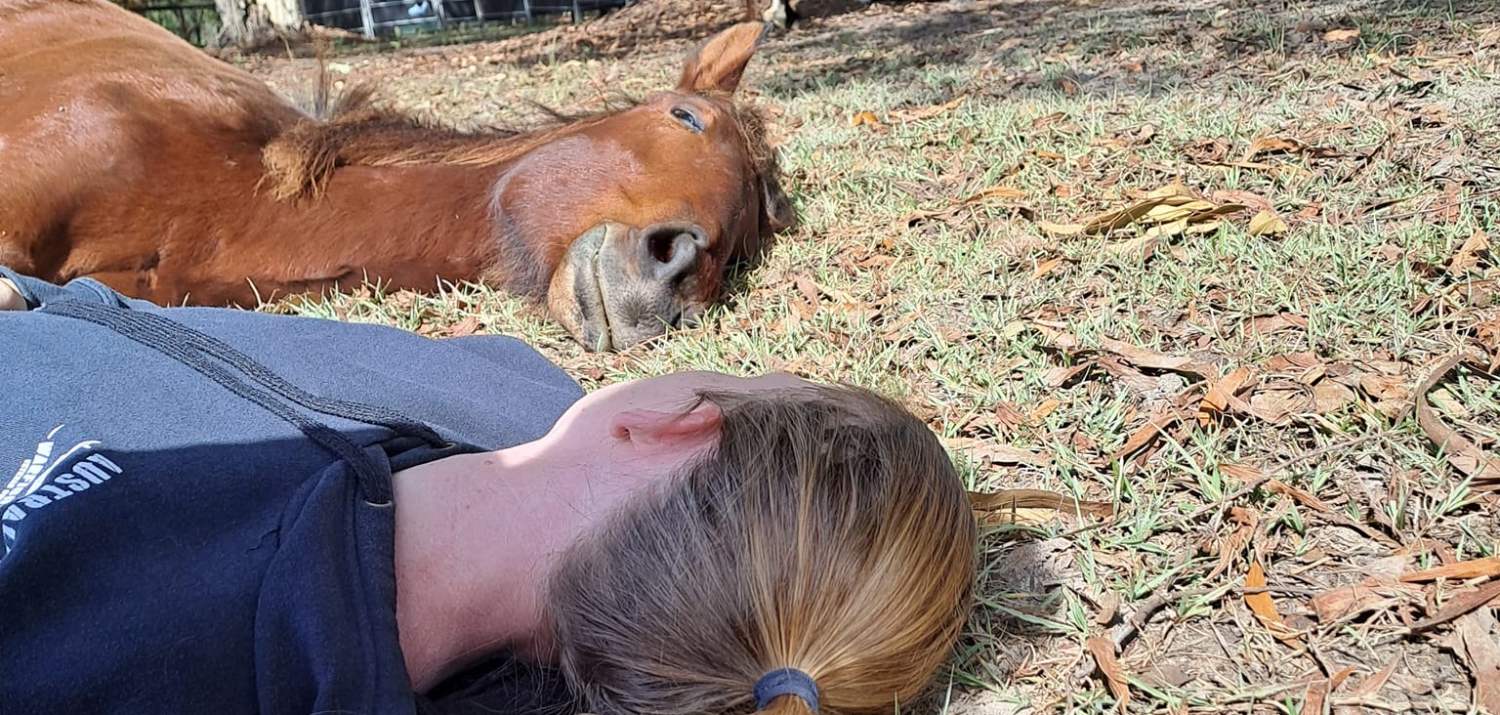 A Hoofbeats client lying down on the ground alongside Phoenix, one of the horses in the herd