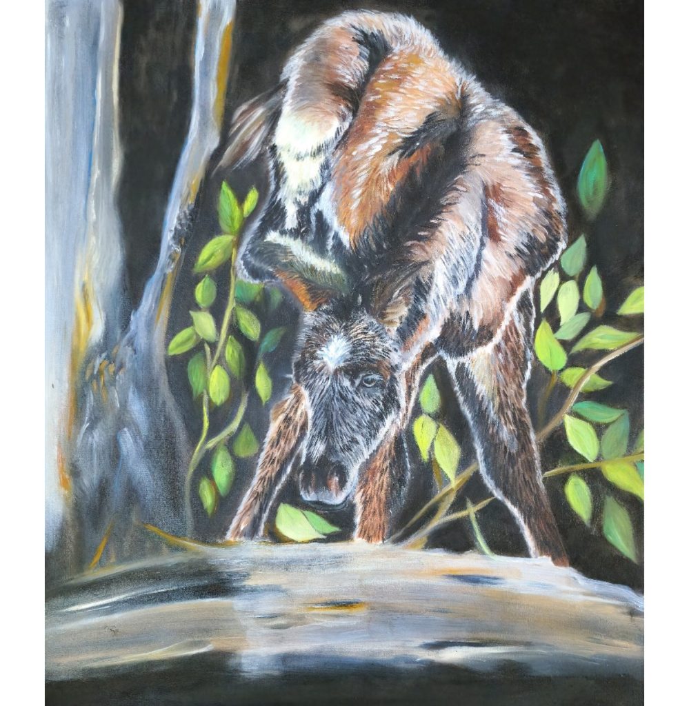 "Where the Dandelions Grow and the Brumbies Run Free" by Syndy Esteves