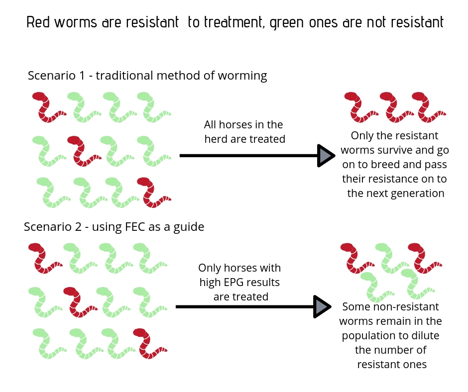 A visual diagram that explains how fecal egg count testing can reduce resistance in worms