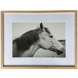 "Side Horse" in its frame