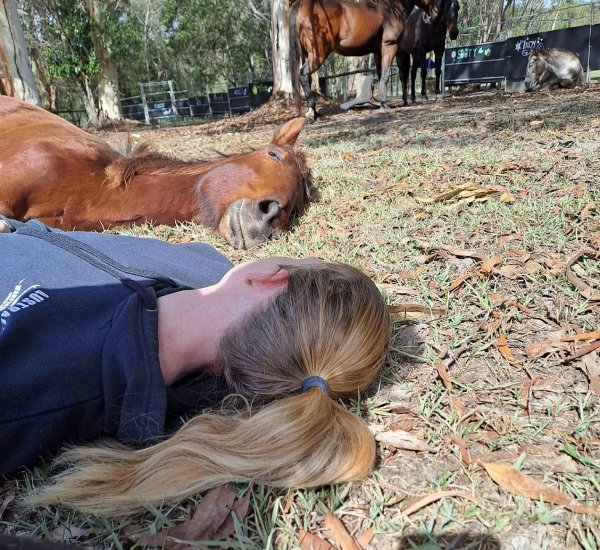 A person lying down next to one of the horses at Hoofbeats