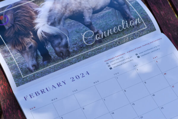 An up close photo of the 2024 Hoofbeats Calendar, open to the February page