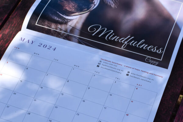 An up close photograph of the Hoofbeats Calendar for 2024, open to the May page