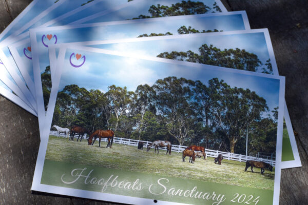 A stack of Hoofbeats Calendars for 2024 neatly fanned out
