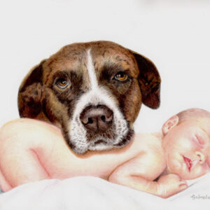 'The Guardian' by Gabriela Thiecke, a drawing of a dog gently resting on a sleeping baby