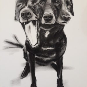 'Three Faces of Yo-Yo' a black and white drawing of a dog with three heads, each showcasing a different mood