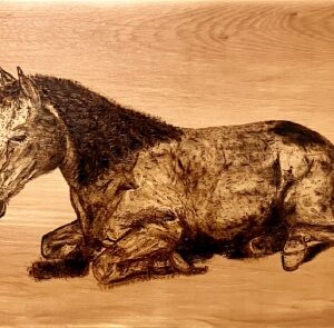 'Smile with the Rising Sun' by Courtenay Potter, a wood pyrography of a sleeping horse