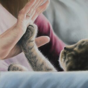 'The Touch' by Helen Coulter, a pastel drawing of a kitten's paw resting against a human hand