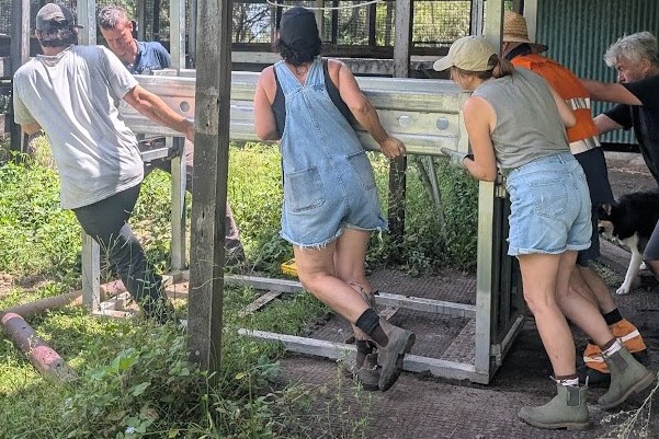 A team of Hoofbeats volunteers moving heavy equipment