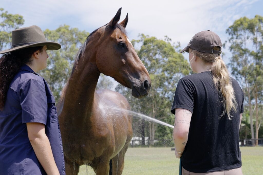 Two women hosing down a horse during a program session