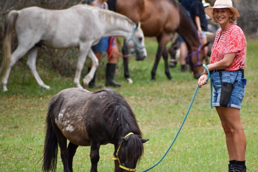 A volunteer leading a horse on a rope