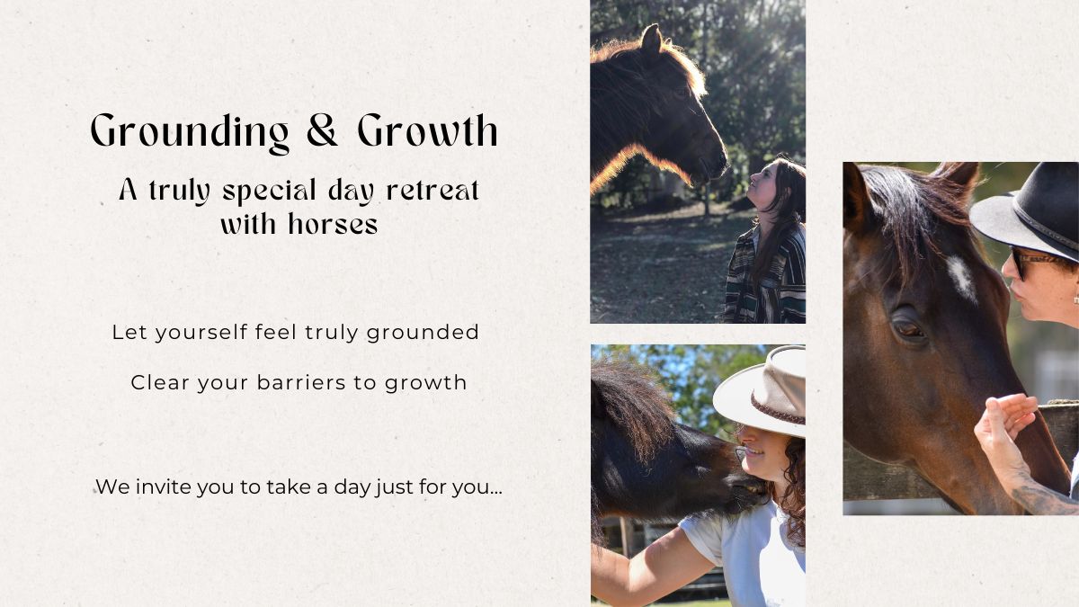 Grounding and Growth: a truly special day retreat with horses