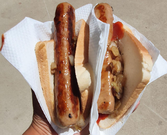 A person holding 2 napkins each holding a sausage in bread with onions